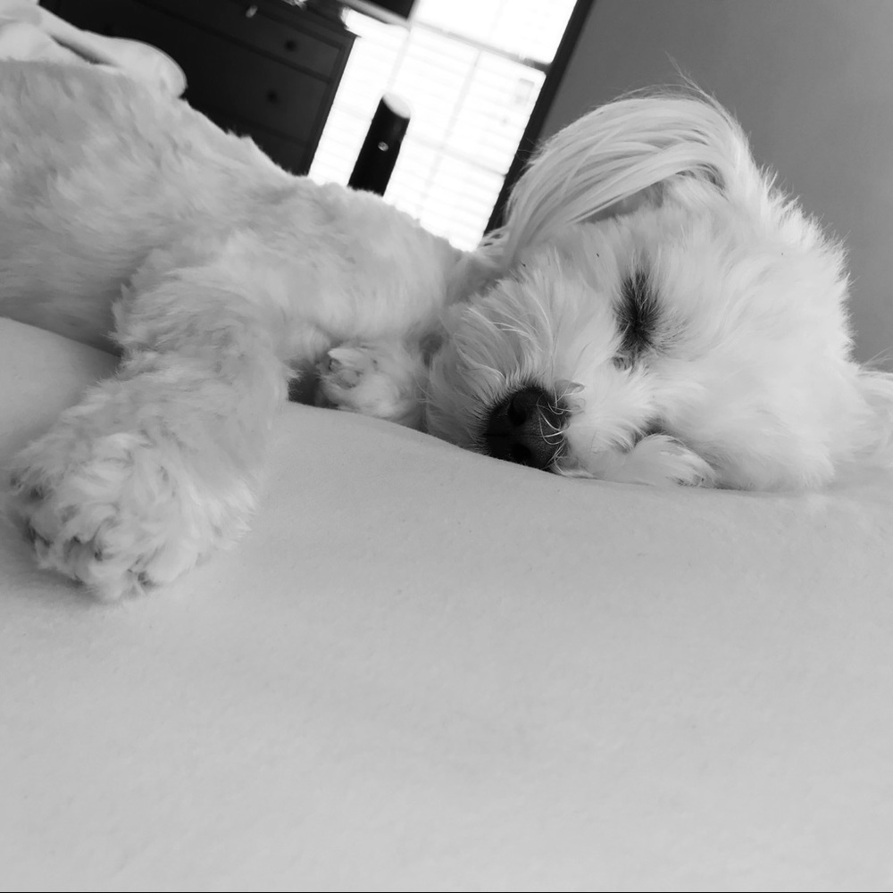 Meet your Posher, Malia Kaimana